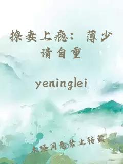 撩妻上瘾：薄少请自重